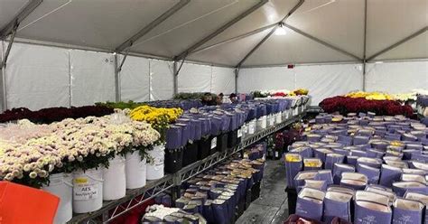 Courtesy American Heartland Theme Park, Vinita, Okla. via Mansion