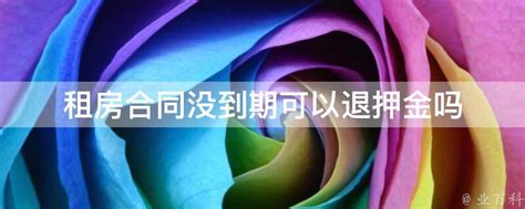 租房合同没到期可以退押金吗 业百科