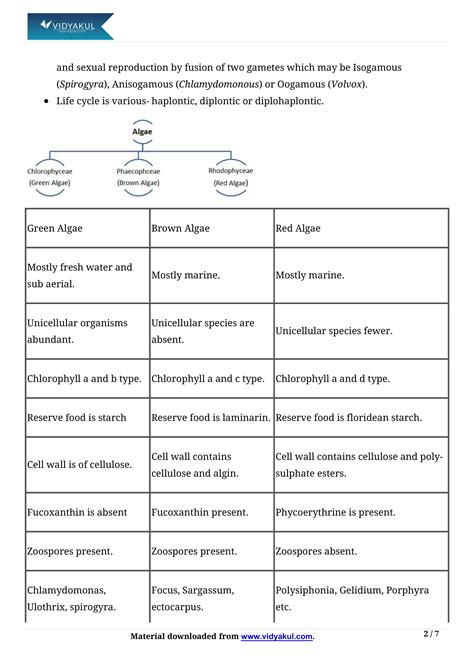 Ncert Chapter Plant Kingdom Kingdom Plantae Class Explanation Riset