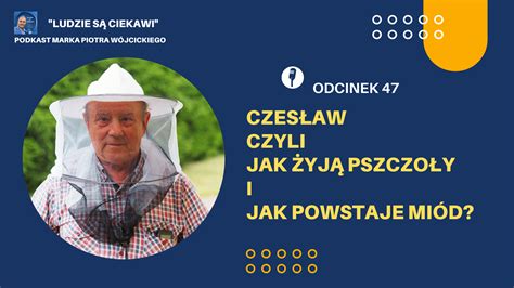 Czesław czyli jak żyją pszczoły i jak powstaje miód Ludzie są ciekawi