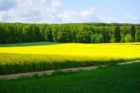 Kostenlose foto Landschaft Natur Gras Rasen Wiese Prärie Hügel