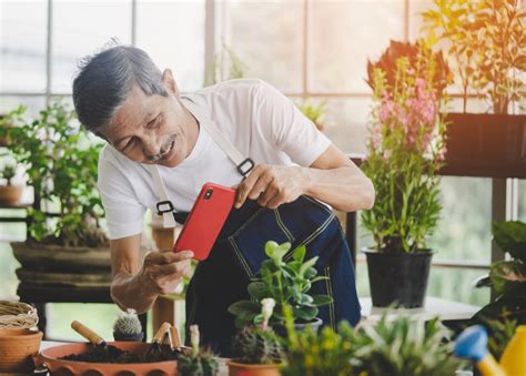 Apps Para IPhone E IPad Ajudam A Cuidar De Plantas Blog IPlace