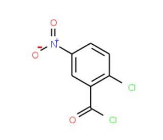 2 Chloro 5 Nitrobenzoyl Chloride CAS 25784 91 2 SCBT Santa Cruz