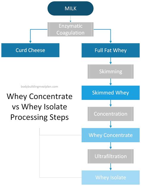 Whey Protein Isolate vs Concentrate: Which Is Better For Quality & Cost