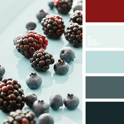 цвет ежевики | IN COLOR BALANCE