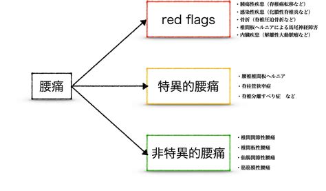 非特異的腰痛の理学療法まとめ①〜非特異的腰痛の4分類、病態、臨床所見〜 Forpt Online