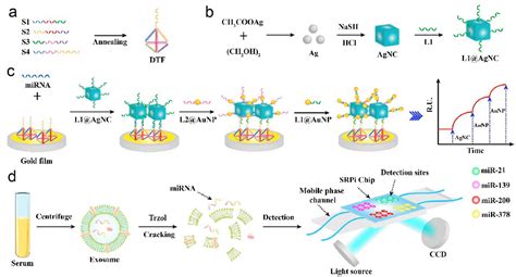 Figure 4 From Recent Advances In Nanotechnology Enabled Biosensors For Detection Of Exosomes As