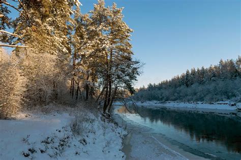 Belas Paisagens Frias De Inverno Em Tons Azuis Geadas Em Cima De Uma