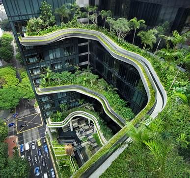 Green Roofs in Singapore - Green Roof Technology