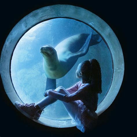 Los Angeles Attractions | Explore Los Angeles with Go City®