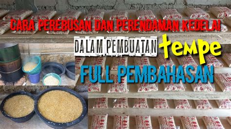 Proses Perebusan Dan Perendaman Dalam Pembuatan Tempe Youtube