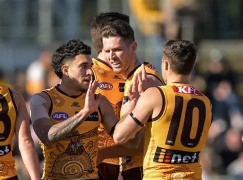 Hawthorn Coach Sam Mitchell Outlines Future Tasmanian Role The