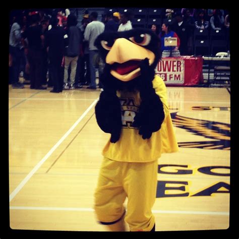 Cal State LA Mascot | People, Cal state, Fashion