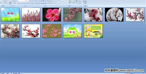 幼儿园小班美术活动梅花 PPT课件
