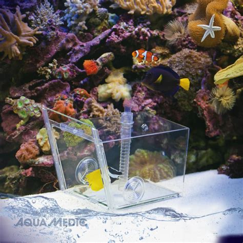 Aqua Medic Fish Trap Pi Ge Pour La Capture Des Poissons