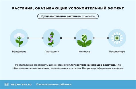 Успокоительные таблетки без рецептов: Список быстродействующих