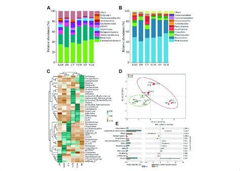 Microbial Community Composition At The A Phylum Level B Class