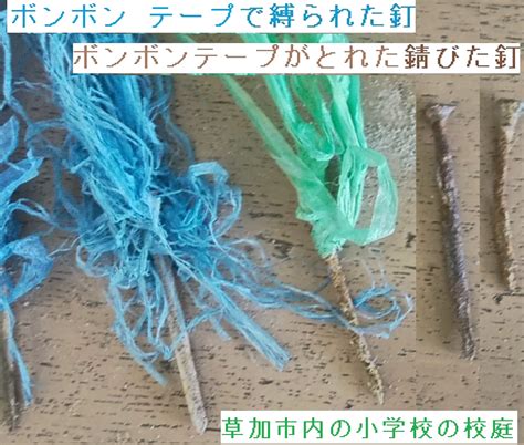 草加市の小学校の校庭に錆びた釘 調査はされているか