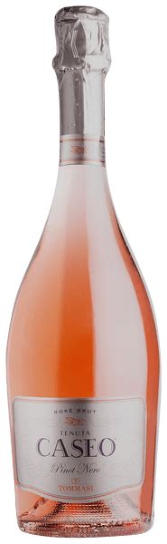 N V Tommasi Tenuta Caseo Pinot Nero Brut Rosé Vivino Nederland