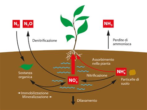 K S Minerals And Agriculture Gmbh Azoto