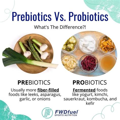 Probiotics Food List