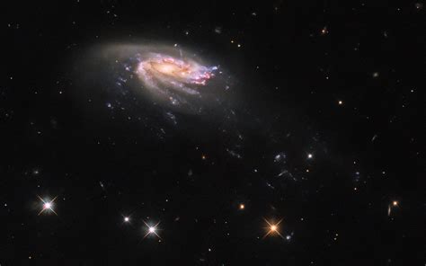 Hubble Space Telescope Spots Jellyfish Galaxy in Aquarius | Sci.News