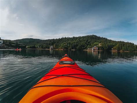 Review: The GoPro 360 MAX Caught a Bear Sneaking Into My Camp