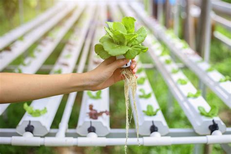 hydroponic systems     work fresh water systems