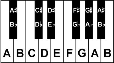 Piano Keys- A Simple Guide To Learning Notes On The Piano