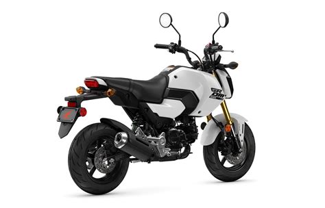 2025 Honda Grom ABS Review Total Motorcycle