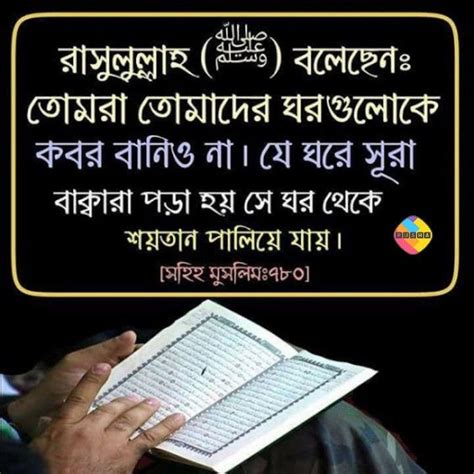 Pin By Fahmida Chowdhury On Bangla Islamic Quotes Quick Save