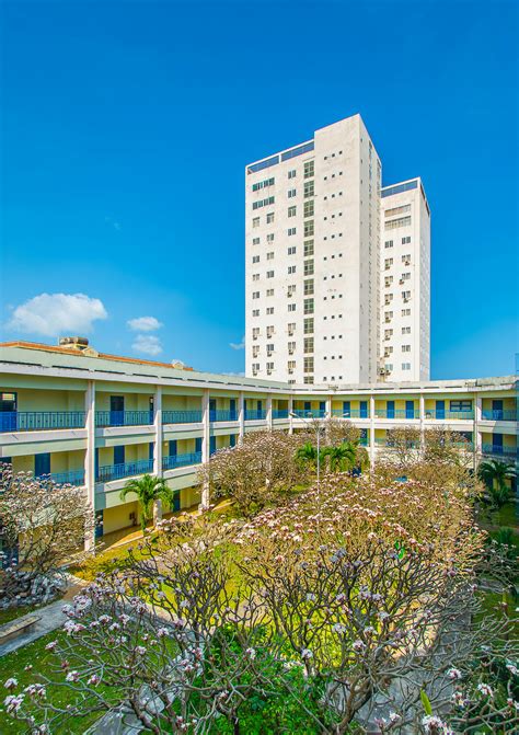 Viet Nam Photos, Download The BEST Free Viet Nam Stock Photos & HD Images