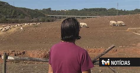 Sem Gua Ana N O Consegue Semear O Retrato Preocupante Da Barragem Da