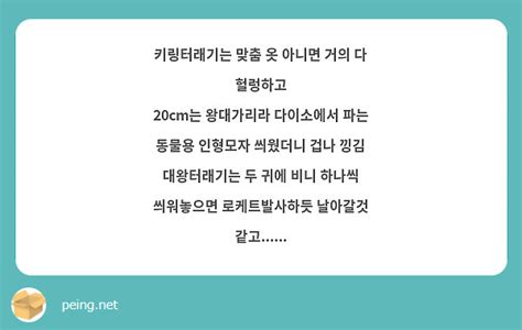 키링터래기는 맞춤 옷 아니면 거의 다 헐렁하고 20cm는 왕대가리라 다이소에서 파는 동물용 인형모자 Peing 質問箱