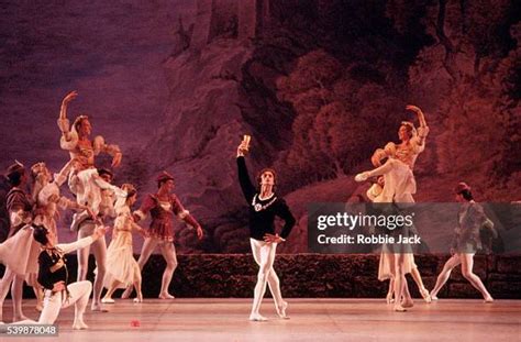 Tchaikovsky Swan Lake Stock Fotos Und Bilder Getty Images