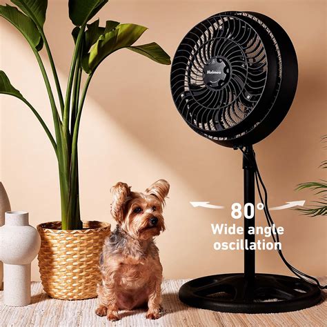 Outdoor Fans: 16'' Outdoor Misting Fan | Holmes Fans