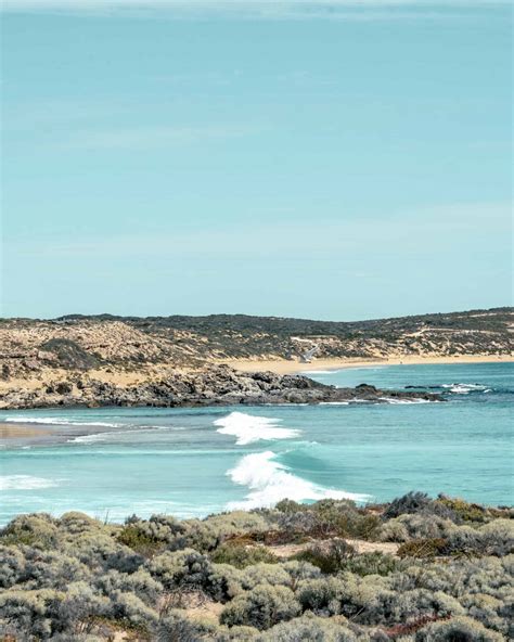 Eyre Peninsula Beaches - Travel Guide – The Green Adventurers