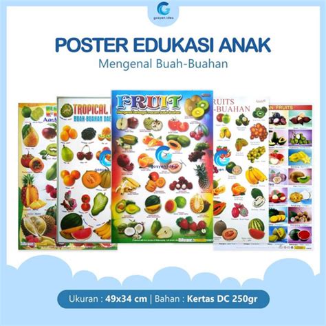 Jual Poster Pendidikan Edukasi Anak Belajar Buah Buahan Fruits