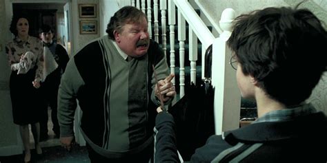 Harry Potter 15 Things You Didnt Know About The Dursleys