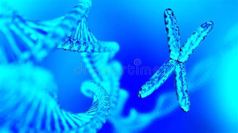 X Chromosome Spiral Dna D Rendering Stock Illustration