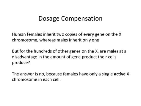 Sex Chromosomes And Abnormalities Sex Chromosomes At The