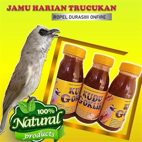 Doping Burung Trucukan Kudu Goklik Vitamin Penggacor Burung Lomba