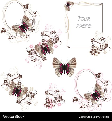 Butterfly Frames Royalty Free Vector Image Vectorstock