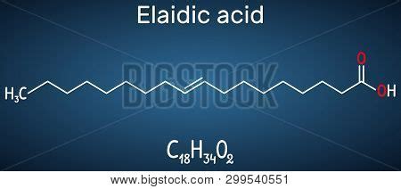 Elaidic Acid Molecule Vector Photo Free Trial Bigstock