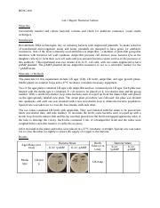 Beng Lab Report Docx Beng Lab Report Bacterial Culture