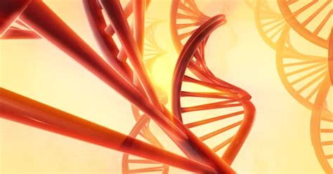 Genetic Plexus, Stock Video - Envato Elements