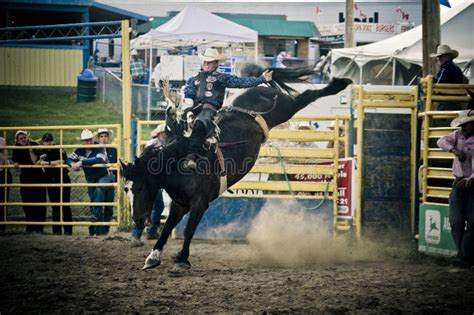 Rodeo and cowboys editorial photo. Image of cowboy, alberta - 28945811