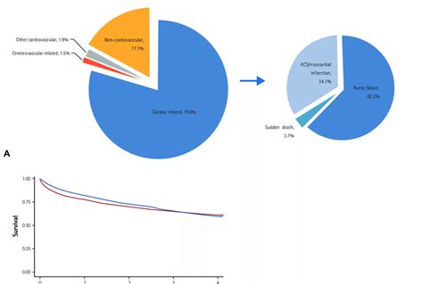 Clinical Outcomes Of Acute Heart Failure A Mechanism Of In Hospital