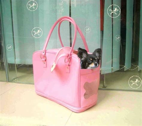 Сумка-переноска для собак: как сделать правильный выбор