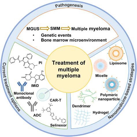 Pathogenesis And Treatment Of Multiple Myeloma Yang 2022 Medcomm